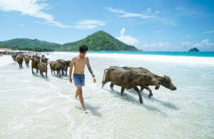 Lombok Best Travel Agent - Custom travel itinerary planner for Lombok vacations, including options for Gili islands hopping, beach trips, and cultural tours.