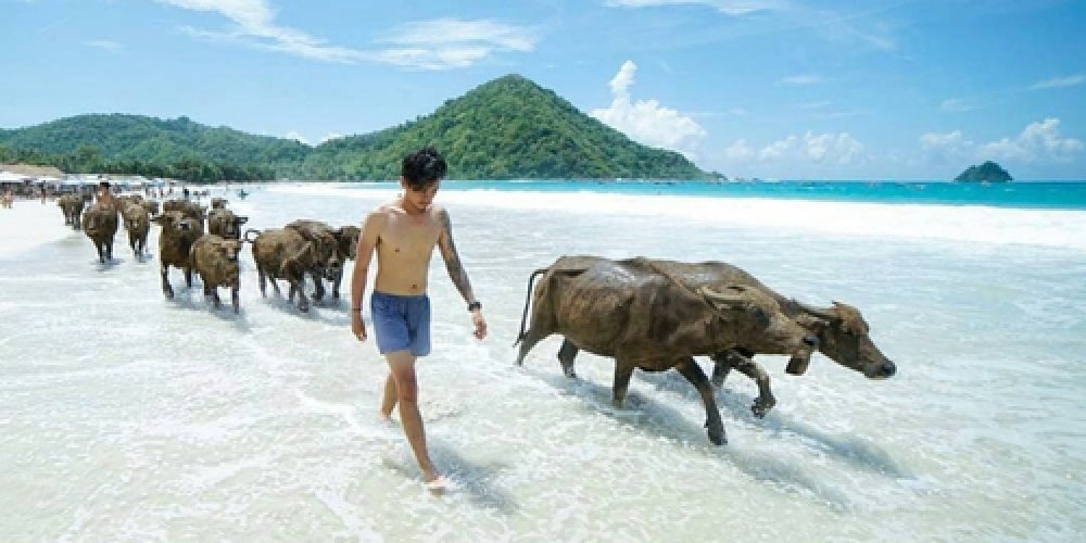 Lombok Best Travel Agent - Custom travel itinerary planner for Lombok vacations, including options for Gili islands hopping, beach trips, and cultural tours.